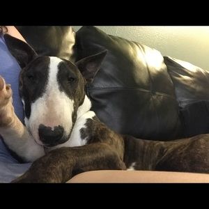 Meet your Posher, Emma